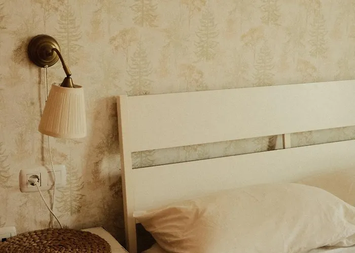 Surf&sleep ホステル コラレホ